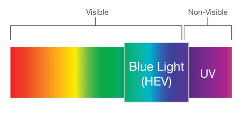 Are Your Screens Aging Your Eyes? Surviving the Digital Strain